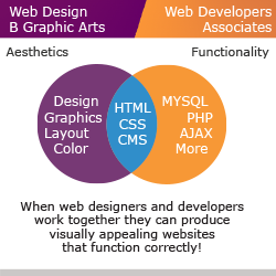 infographic web design & development